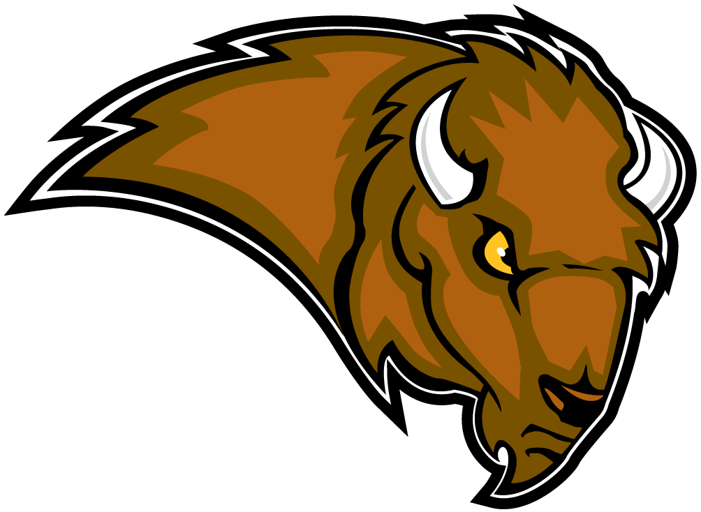 Lipscomb Bisons 2002-2011 Secondary Logo iron on transfers for fabric